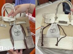 Bolsas Birkin de magnata vietnamita preso são vendidas por mais de US$ 550 mil