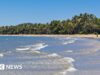 Homem morto em ataque de tubarão na costa nordeste da Austrália