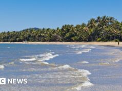 Homem morto em ataque de tubarão na costa nordeste da Austrália
