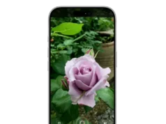 Uma prévia do novo aplicativo Siri revela os planos da Apple de enfrentar o ChatGPT e muito mais