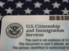 Alívio H1-B? USCIS diz que alguns portadores de visto podem não precisar sair dos EUA para processo de Inexperienced Card