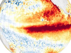 Aqui está o que um Tremendous El Niño pode significar para a crise climática