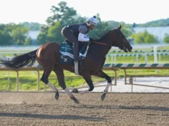 Conheça os cavalos que correm nas Estacas Preakness