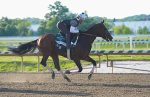 Conheça os cavalos que correm nas Estacas Preakness