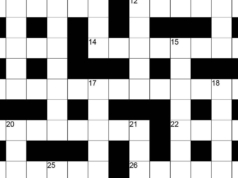 As palavras cruzadas do domingo hindu nº 58