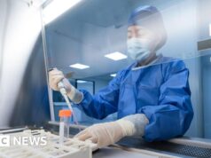 Cientistas do Reino Unido desenvolvem nova vacina contra o Ebola que pode estar pronta em meses