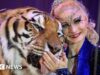 Tigre escapou baleado pela polícia alemã após atacar homem