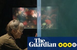 Crítica de Notavelmente Shiny Creatures – Sally Subject se une ao polvo no gentil charme da Netflix