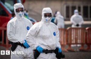 Nenhum sinal de surto maior de hantavírus, diz agência de saúde da ONU