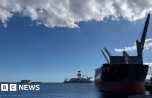 Médicos de Tenerife preparados para chegada de navio de cruzeiro atingido por vírus