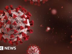 Cimeira africana na Índia adiada devido a receios de surto de Ébola