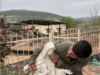 Soldados israelenses presos por profanar estátua da Virgem Maria