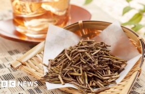 Passe por cima do matcha. Hojicha está chegando a um café perto de você