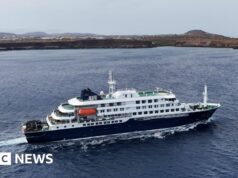 Chefe da OMS tranquiliza residentes de Tenerife antes da chegada do navio de cruzeiro atingido pelo vírus