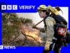 Incêndios florestais descontrolados na Califórnia vistos do espaço