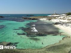 Homem morto por grande tubarão branco de 13 pés na Austrália Ocidental