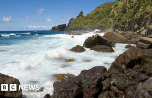 Mulher se isolando em ilha britânica no Pacífico Sul após contato com hantavírus