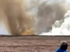 Quatro membros da tripulação ejetam com segurança após a queda de dois jatos da Marinha durante present aéreo em Idaho
