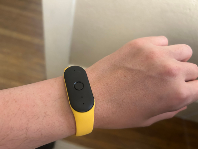 Bee-wearable.jpeg