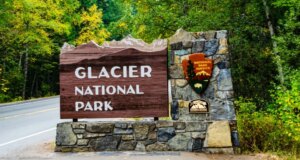 Aparente ataque de urso mata alpinista desaparecido no Parque Nacional Glacier de Montana