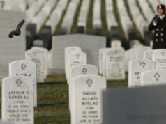 Relembrando os colegas que perdemos: uma reflexão do Memorial Day de um veterano
