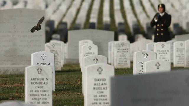 GettyImages-459365432.jpg