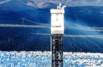 Reguladores permitem que usina photo voltaic da period Obama mate milhares de pássaros anualmente, descobriu investigação