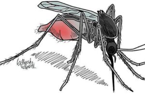 Autoridades de saúde alertam sobre doenças transmitidas por mosquitos