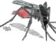 Autoridades de saúde alertam sobre doenças transmitidas por mosquitos