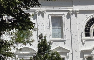 A Casa Branca recebe um zumbido inesperado quando milhares de abelhas enxameiam o gramado norte da mansão executiva