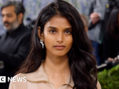 A estreia discreta da modelo indiana no Met Gala revive o debate sobre representação cultural