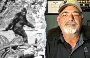 Ex-sargento do Exército relembra o avistamento de criaturas que mudaram a vida após novos relatos do Pé Grande em Ohio