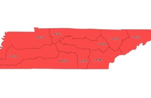 Tenn Gov Lee convoca sessão especial para redesenhar o mapa da Câmara a favor do Partido Republicano 9-0