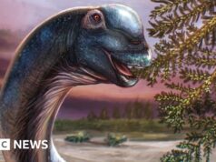 Novo dinossauro gigante identificado a partir de fósseis na Tailândia