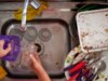 Uma empresa limpará seu apartamento desagradável de graça se você permitir que eles registrem