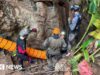 Cinco pessoas encontradas vivas após uma semana presas em caverna inundada no Laos