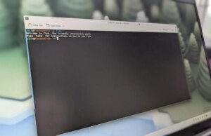 Bash vs. Peixe? Eu tentei os dois shells do Linux, e um deles torna o uso da linha de comando muito mais fácil