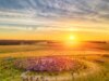 Solstício de verão: tudo o que você precisa saber sobre o dia mais longo do ano