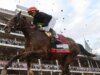 O vencedor do Kentucky Derby pulando Preakness Stakes e não fará a Triple Crown correr