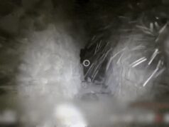 Assista: IDF compartilha imagens de alojamentos do Hezbollah em túneis subterrâneos
