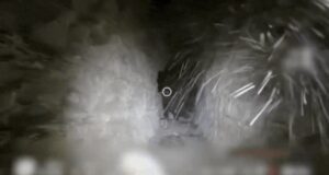 Assista: IDF compartilha imagens de alojamentos do Hezbollah em túneis subterrâneos