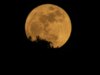 O que é uma lua azul? Por que a lua cheia de maio é tão rara.