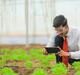 A tecnologia CSIR‑IICT impulsiona a expansão do biogás comprimido na Índia