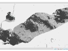 Há uma sopa mortal ‘rotativa’ de toxinas proibidas no Lago Erie