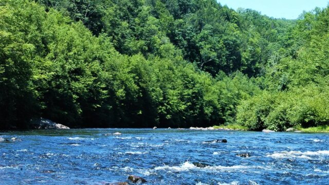lehigh-river-pennsylvania.jpeg