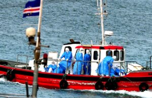 CDC explica os próximos passos após americanos serem expostos ao hantavírus em navios de cruzeiro
