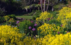 Natureza: Jardim Chantecler