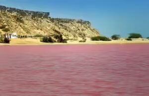 10 lagos rosa ao redor do mundo: do Lago Hillier ao Lago Rosa