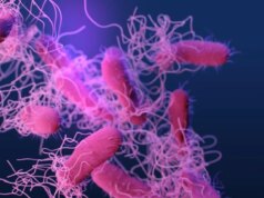 Cientistas identificam uma nova fonte potencial de superbactérias resistentes a antibióticos – e não é o que você pensa