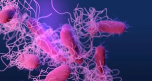 Cientistas identificam uma nova fonte potencial de superbactérias resistentes a antibióticos – e não é o que você pensa